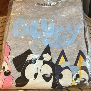 NWT Sz Small: Gray Bluey Graphic Sweatshirt